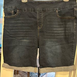 COPY - Terra & Sky Denim shorts size 2X (20W-22W)